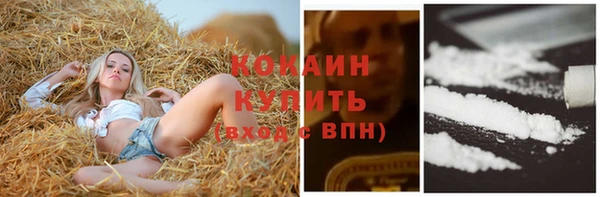 ПСИЛОЦИБИНОВЫЕ ГРИБЫ Алексин