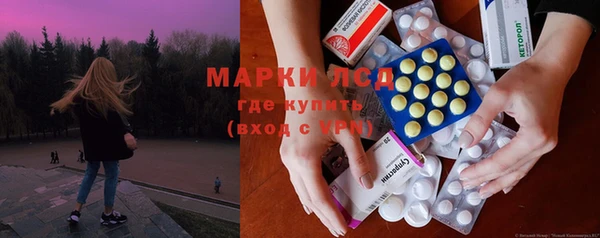 индика Рославль