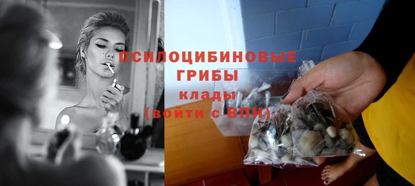 ПСИЛОЦИБИНОВЫЕ ГРИБЫ Алексин