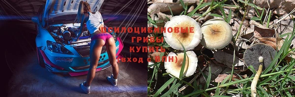 герыч Алзамай