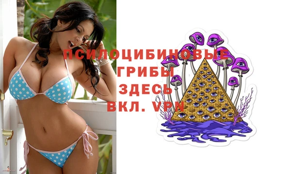 ПСИЛОЦИБИНОВЫЕ ГРИБЫ Алексин