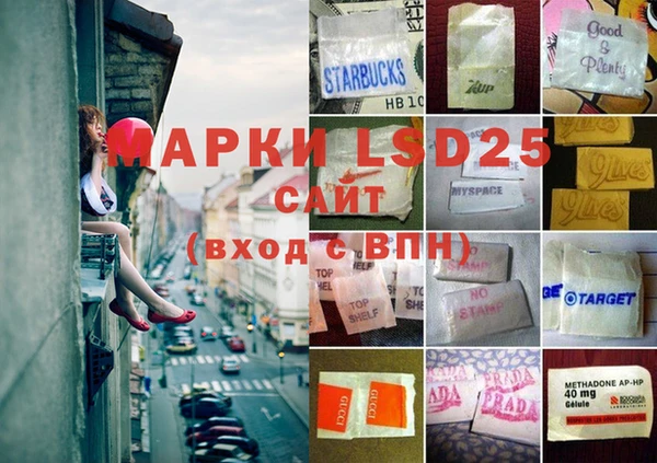 ПСИЛОЦИБИНОВЫЕ ГРИБЫ Алексин